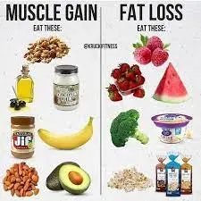 Healthy Fats for Muscle Growth